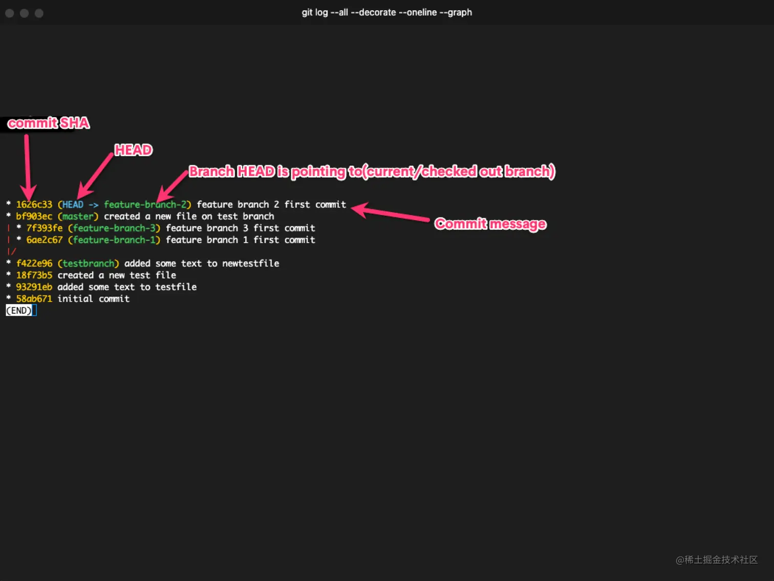 屏幕截图 2021-10-25-at-10.52.26-AM--1-