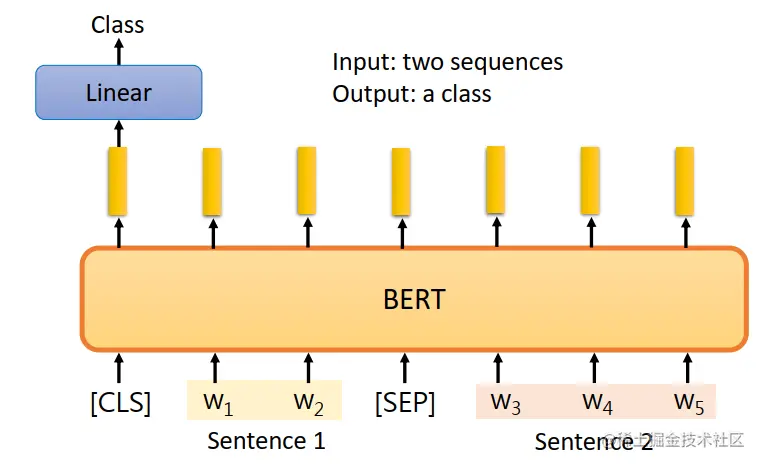 image-20210811123734599