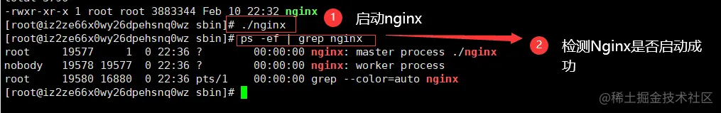 image-20220210223725317