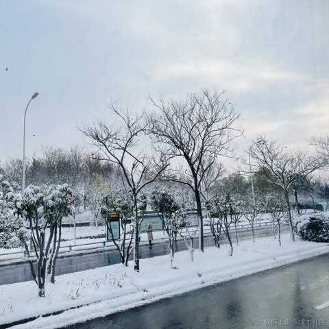 莫道桑榆晚hh于2023-12-11 14:06发布的图片