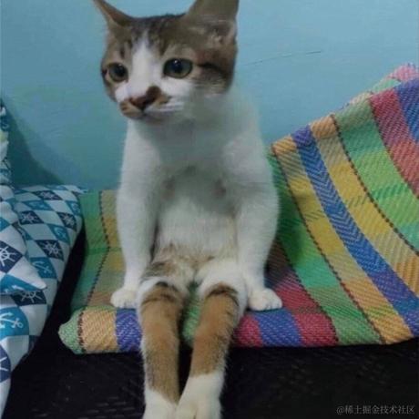 新世纪玉玉战士于2022-12-08 06:36发布的图片