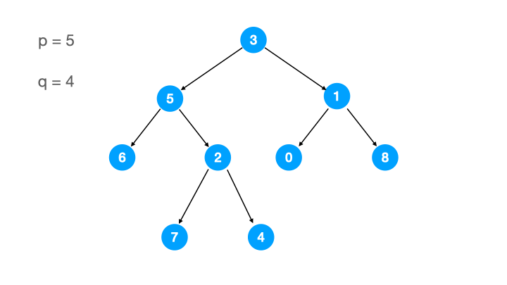 leetcode-面试题 04.08-首个共同祖先.gif