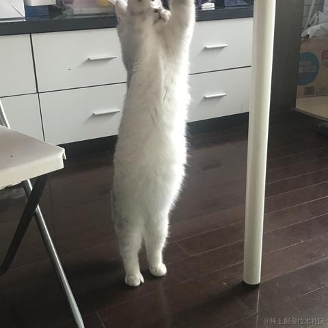 一只小菠萝于2021-10-27 18:22发布的图片