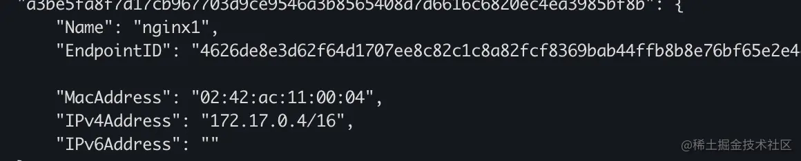 全网最详细的Docker网络教程详解Docker网络详解