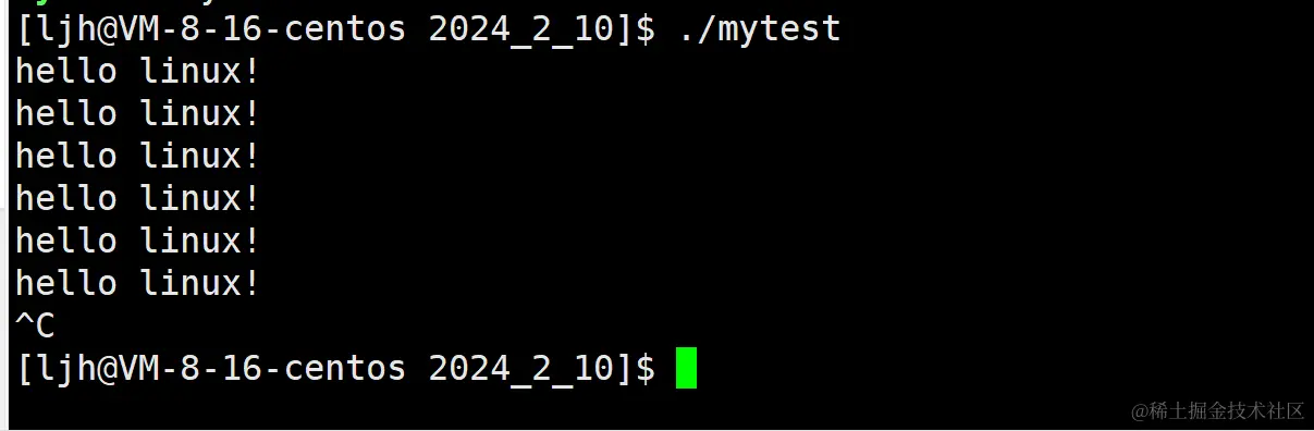 image-20240210225936906