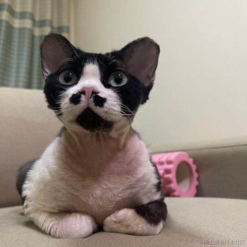 BooBoo于2021-12-27 15:47发布的图片