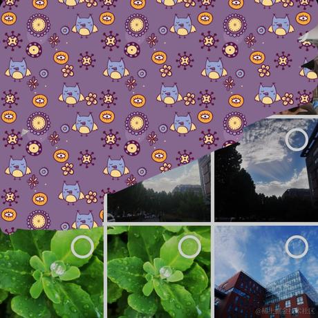 苏啵曼于2022-07-15 14:13发布的图片