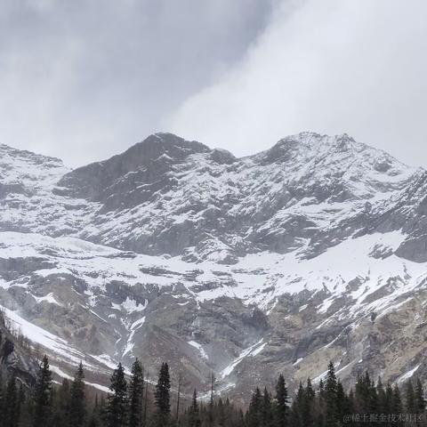 快乐的小菜鸟118于2023-04-19 10:11发布的图片