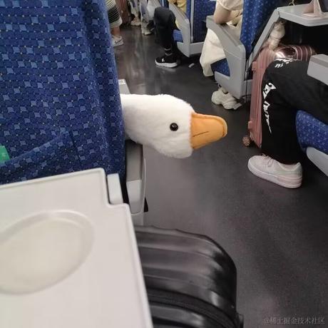 做只小狗耶于2023-07-01 16:33发布的图片