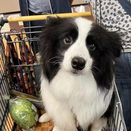 乃琳我最近压力好大于2023-06-24 13:49发布的图片