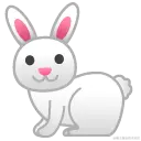 rabbit2