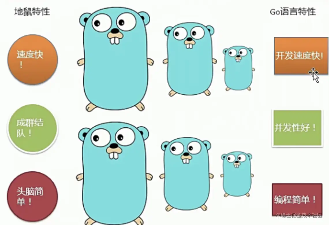 image-20210923182037074