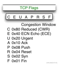 TCP Flags of TCP Header