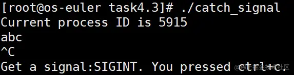 image-20211225164618251