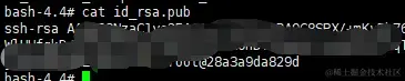 cat id_rsa.pub