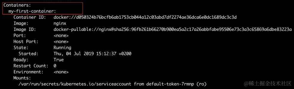 图 5.2：使用描述命令的容器字段