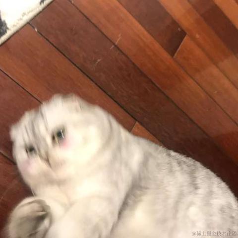 小蝴蝶于2020-08-10 15:13发布的图片