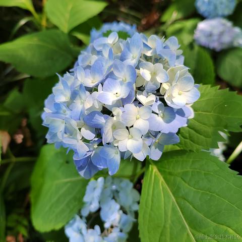 Sarah_于2024-05-17 10:12发布的图片