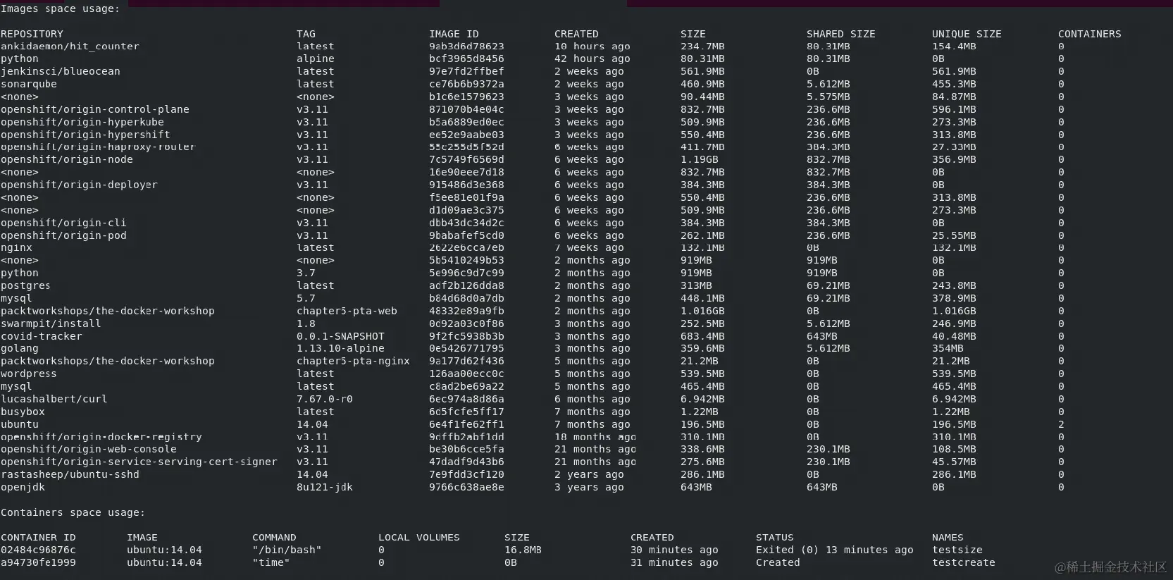 图 7.7：docker system df -v 命令的输出