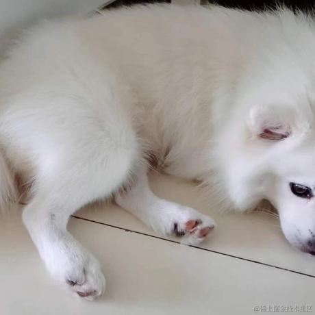 HomoLudens于2022-04-18 13:48发布的图片