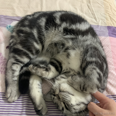 小黑同学于2022-11-11 07:22发布的图片