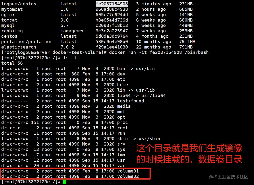 image-20220209010217805