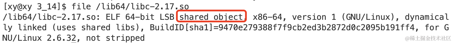 image-20230314214650195