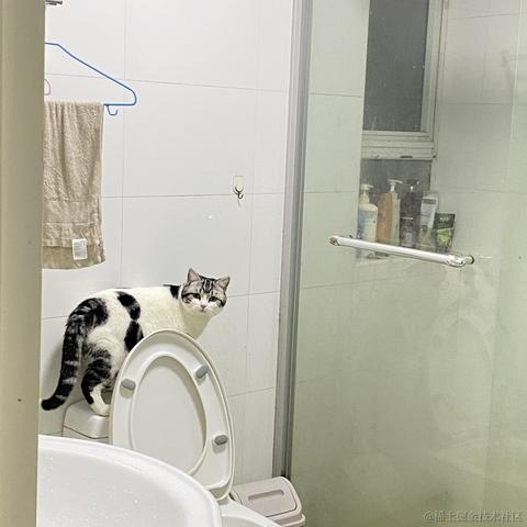 程序猿秃头之路于2022-01-07 23:54发布的图片