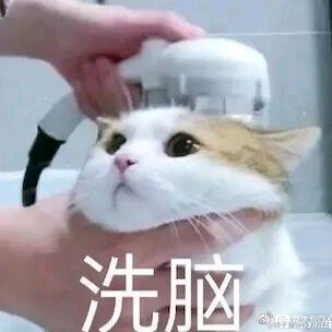 俄里翁于2021-08-13 09:57发布的图片