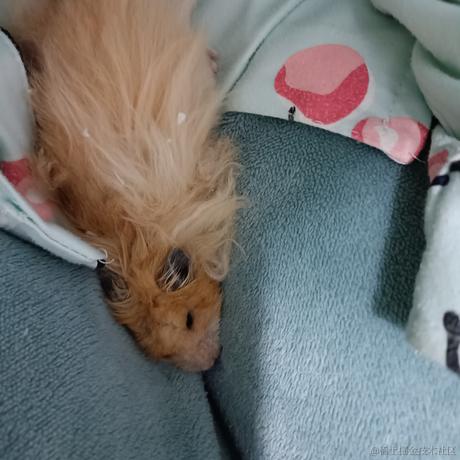 内mar儿于2022-12-12 22:18发布的图片