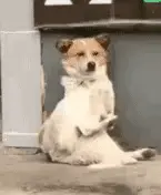 1,742文件.GIF