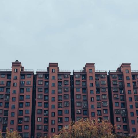 欲买桂花同载酒_于2023-03-13 16:10发布的图片