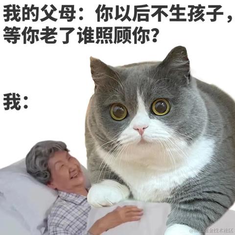 Ann于2023-07-15 10:21发布的图片