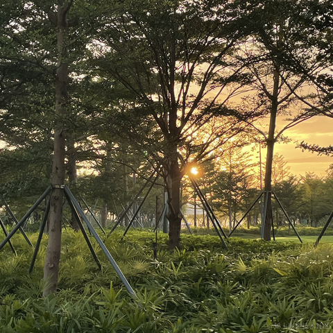 紫菜捏于2022-11-18 09:12发布的图片