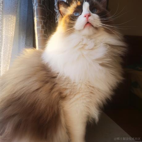 Firmament于2022-12-08 11:00发布的图片