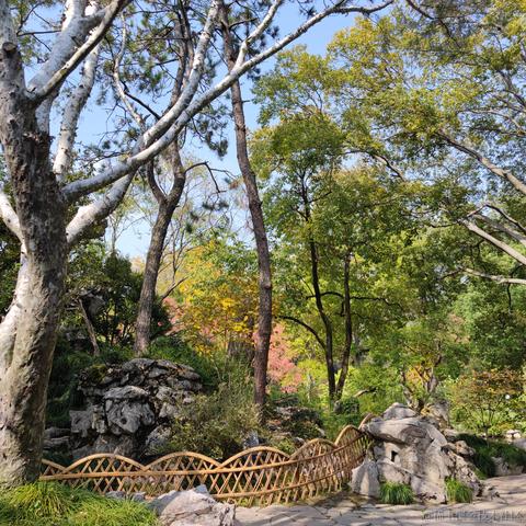 重庆小保洁于2023-03-17 11:48发布的图片