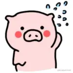 上进小菜猪