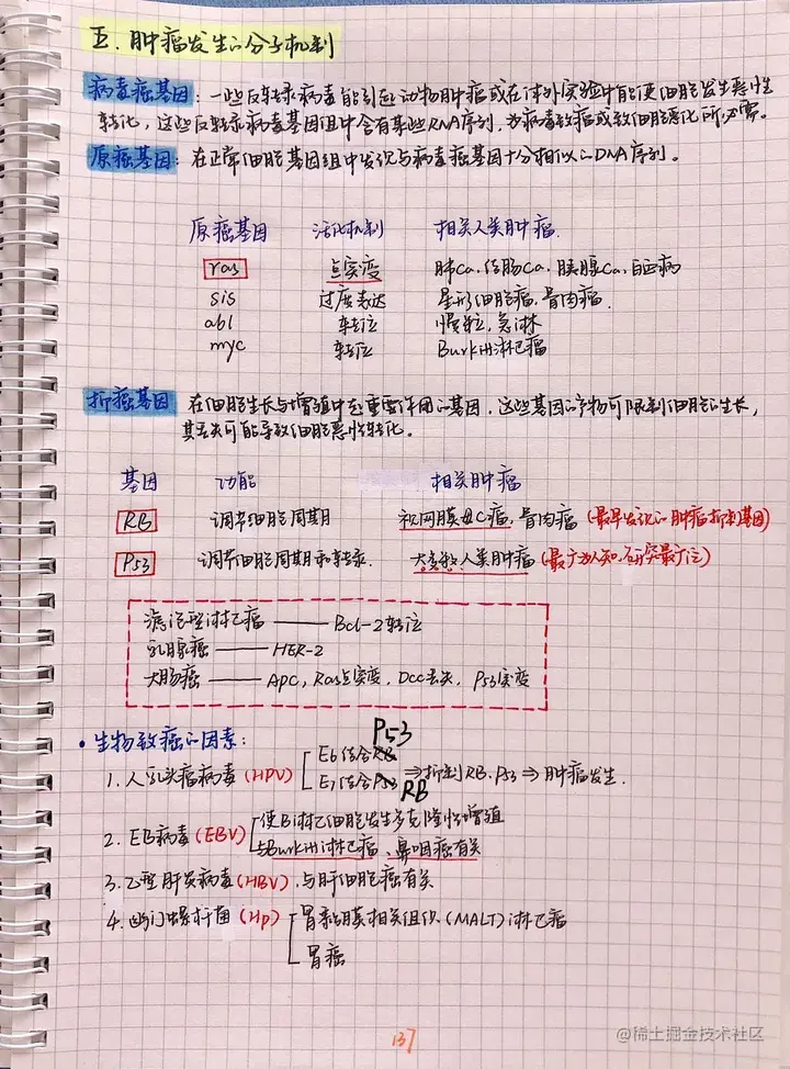 病理手写笔记.pdf