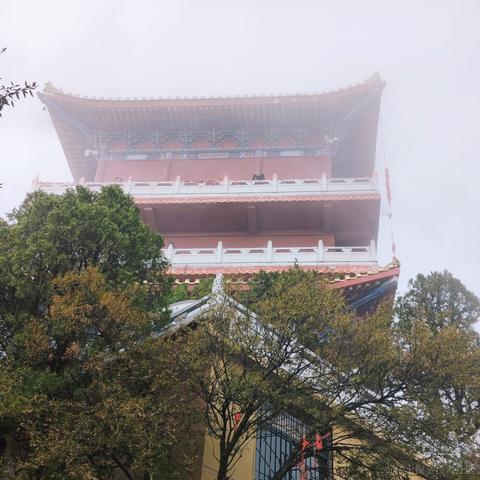 丫丫世界第一可爱于2022-10-31 09:28发布的图片