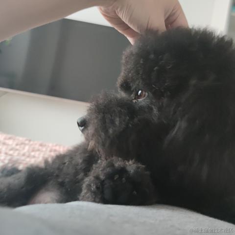 璇天凤舞于2023-05-14 03:10发布的图片