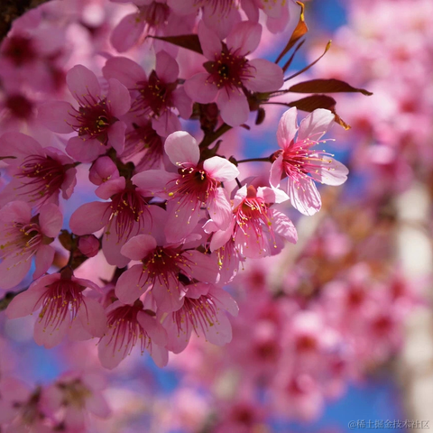 冬日暖阳一片云于2023-03-14 18:06发布的图片