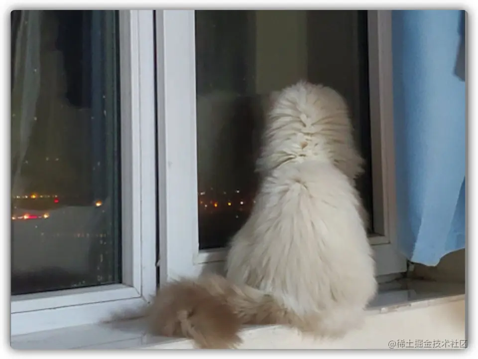 image-20210815170644662