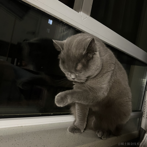 bellaQAQ于2023-06-30 09:03发布的图片