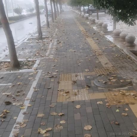 f0于2022-11-18 22:43发布的图片