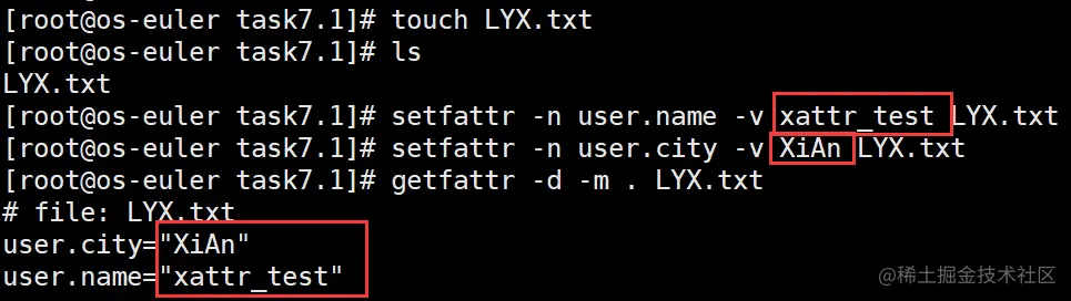 image-20211226161603020