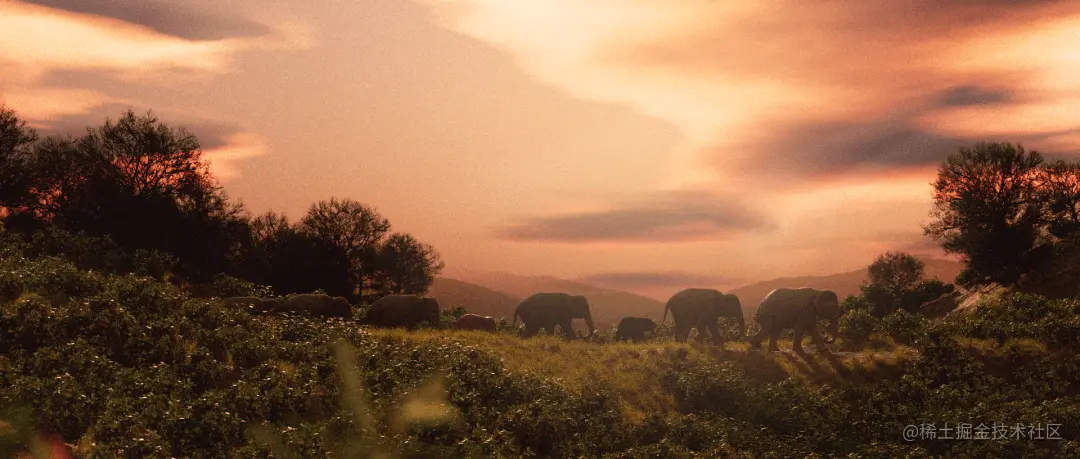 《象群挽歌》定稿