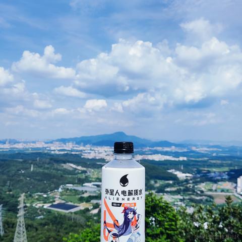 脆弱杨桃干于2023-06-20 19:37发布的图片