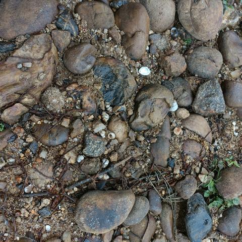 所飒于2022-11-28 22:06发布的图片