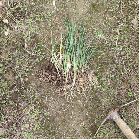 陈理性呀于2023-01-20 13:48发布的图片