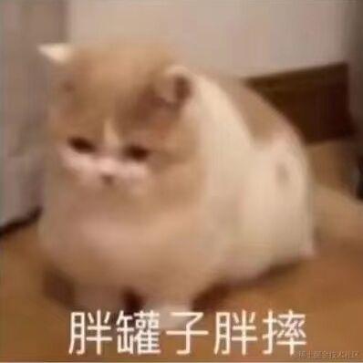 嘉然别再联系我了于2022-11-27 20:51发布的图片